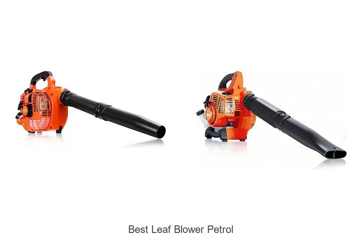 Top 12 Best Leaf Blower Petrol Models That Blow Away Dirt