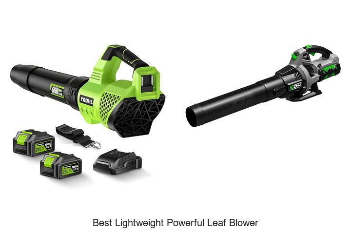 Top 12 Best Lightweight Powerful Leaf Blower You Need Now