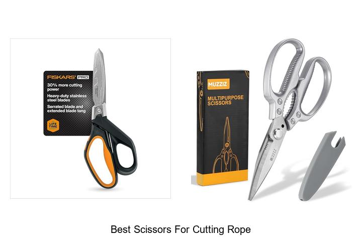 Top 12 Best Scissors for Cutting Rope You Must Own Now