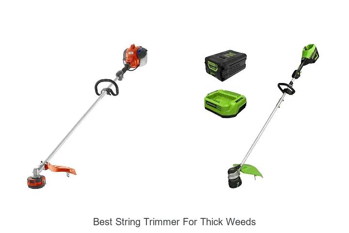 Top 12 Best String Trimmer for Thick Weeds That Wow