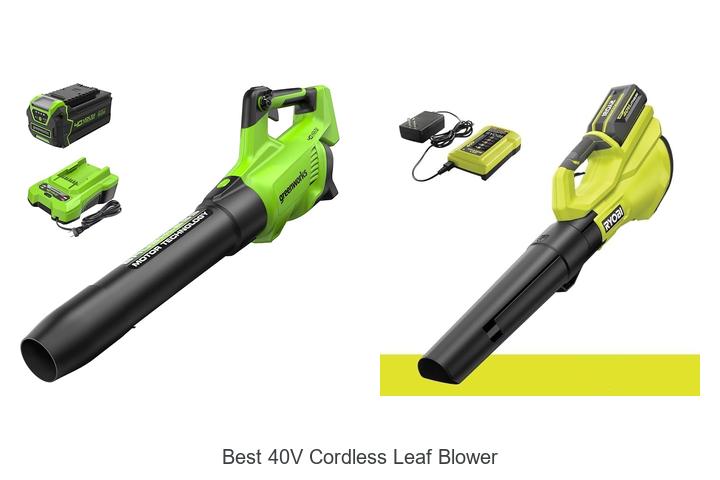 Top 12 Best 40V Cordless Leaf Blower That Will Blow You Away!