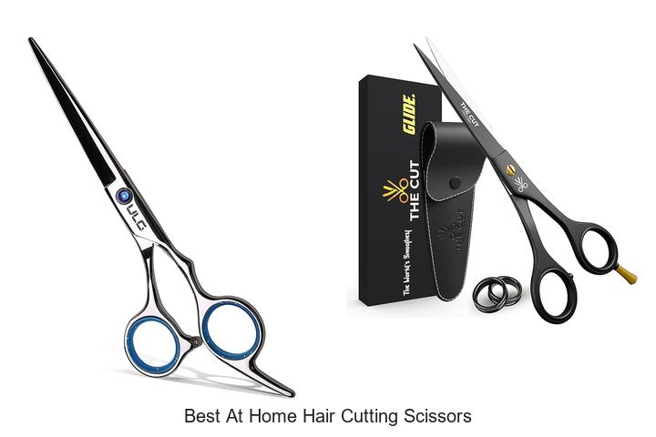 Top 12 Best At Home Hair Cutting Scissors You Need Now