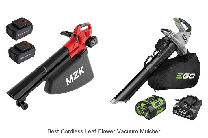 Top 12 Best Cordless Leaf Blower Vacuum Mulcher Revealed!