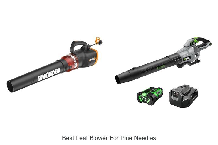 Top 12 Best Leaf Blower For Pine Needles That Will Amaze You