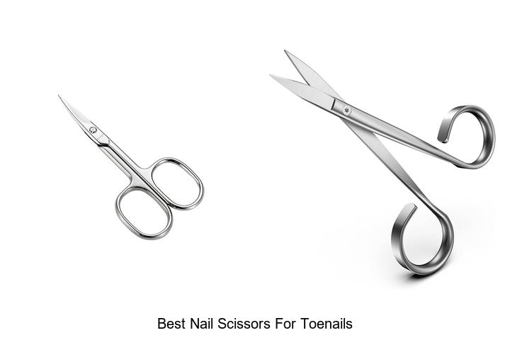 Top 12 Best Nail Scissors For Toenails You Need Now!