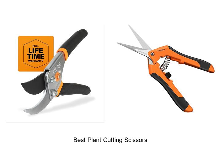 Top 12 Best Plant Cutting Scissors You Can’t Miss Today