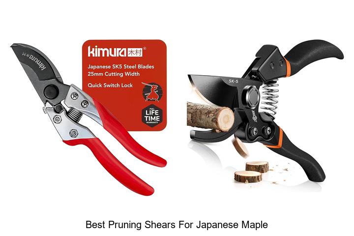 Top 12 Best Pruning Shears for Japanese Maple You Need Now