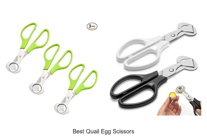 Top 12 Best Quail Egg Scissors That Will Blow Your Mind!