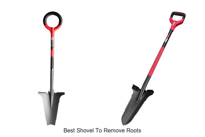 Top 12 Best Shovel To Remove Roots Fast & Easily!